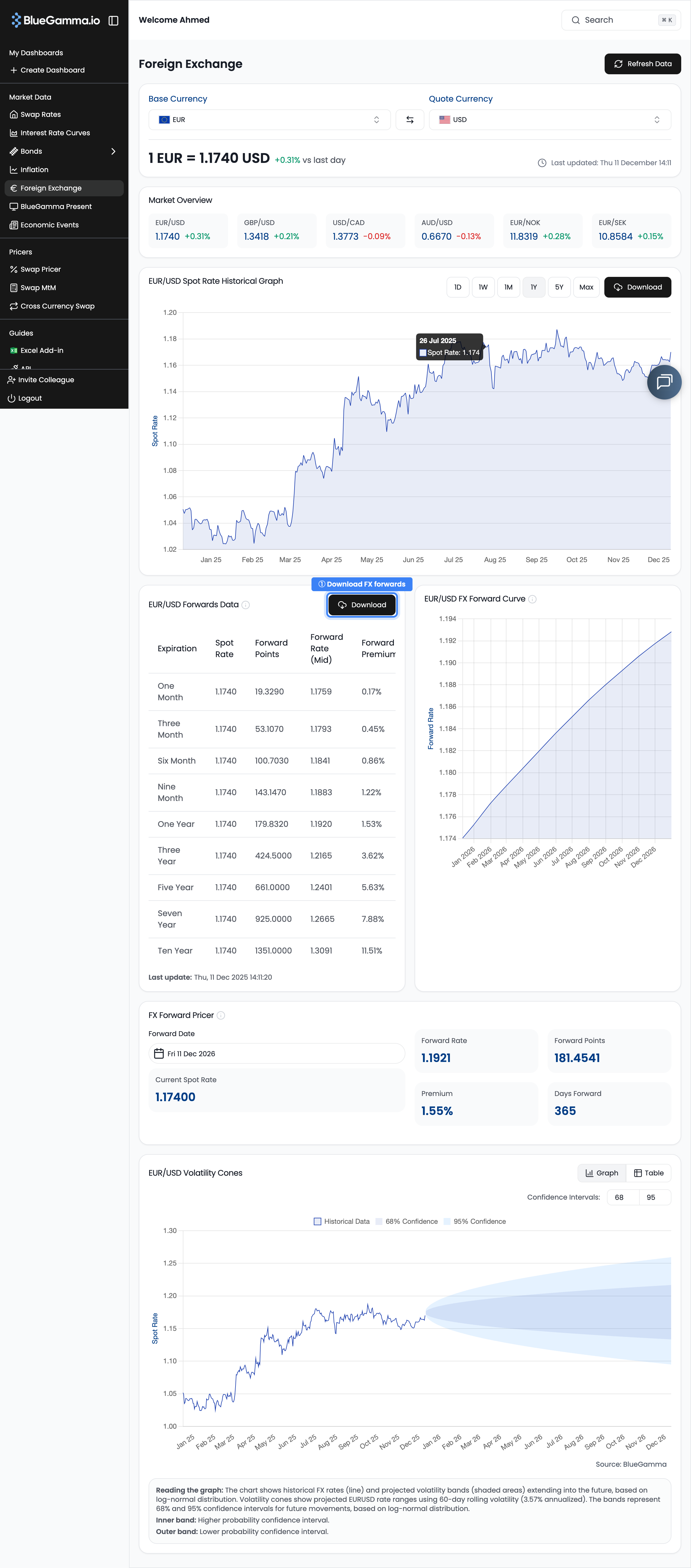 FX forwards interface